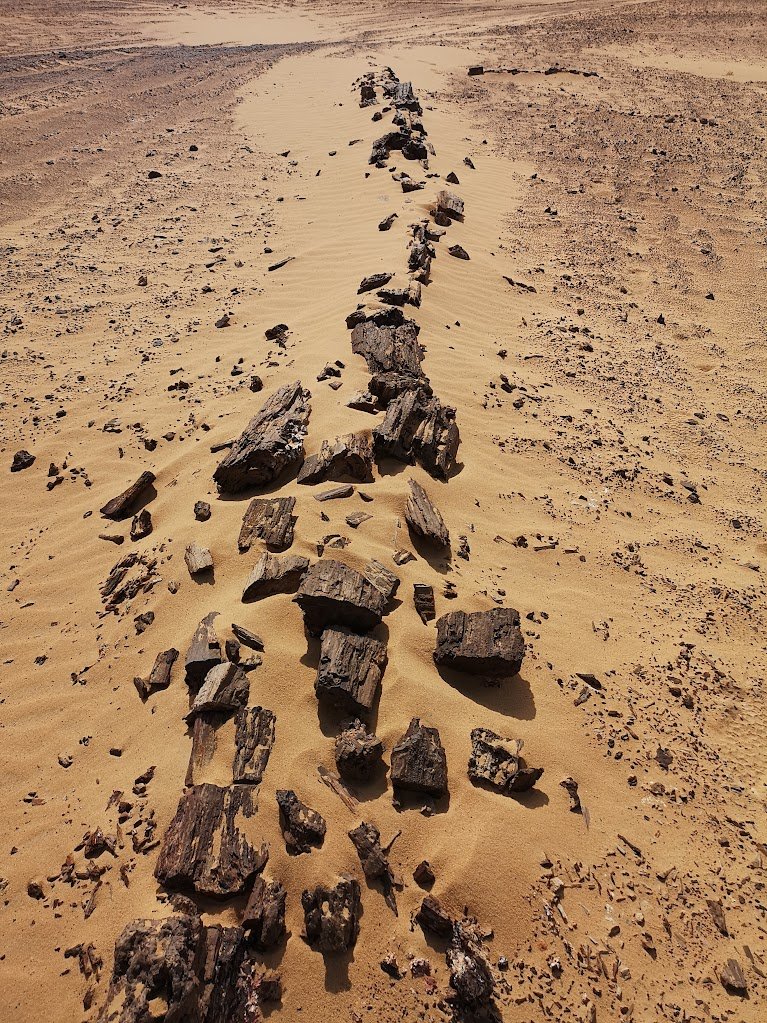 صورة مصغرة 5