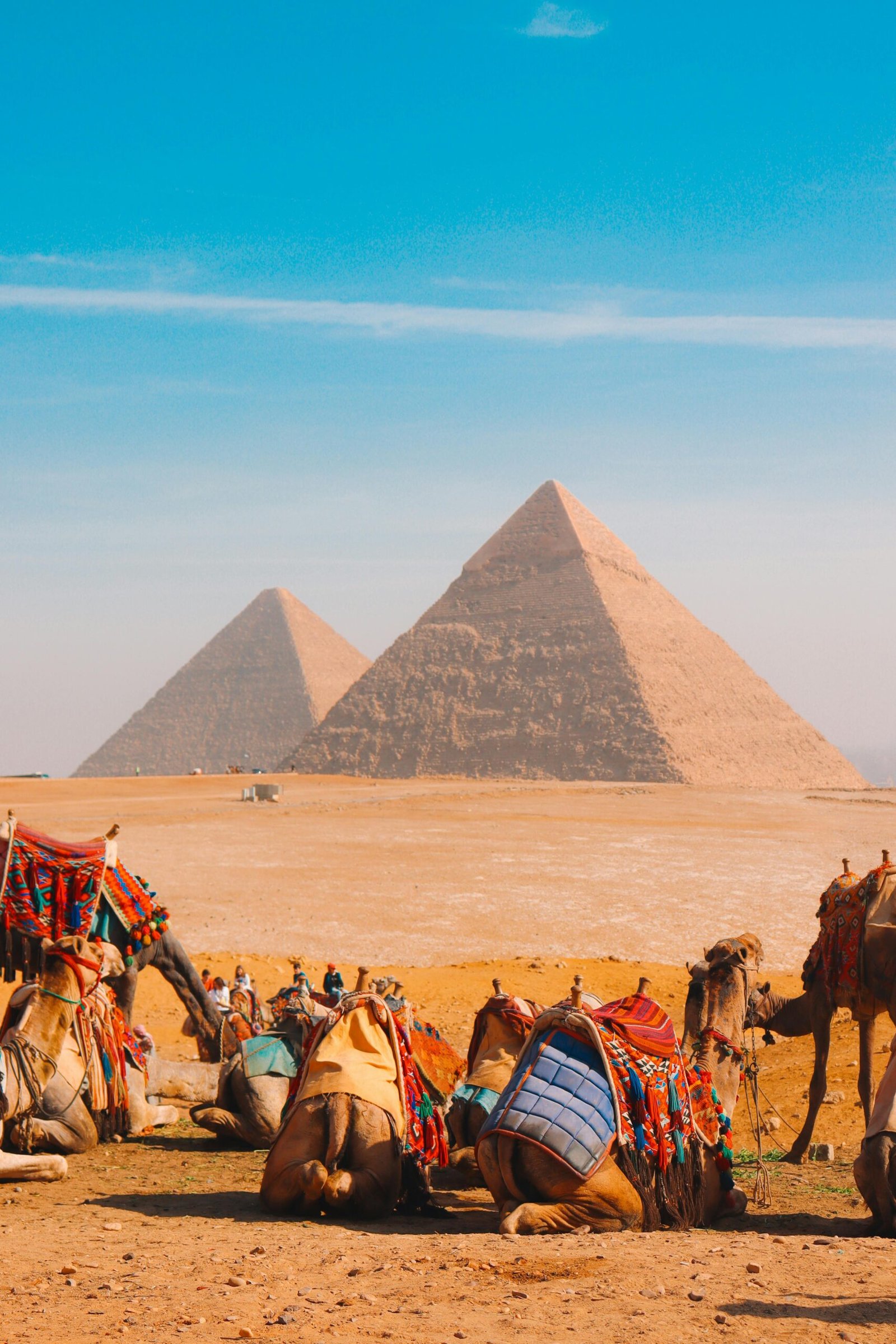 Camel Pyramid scaled