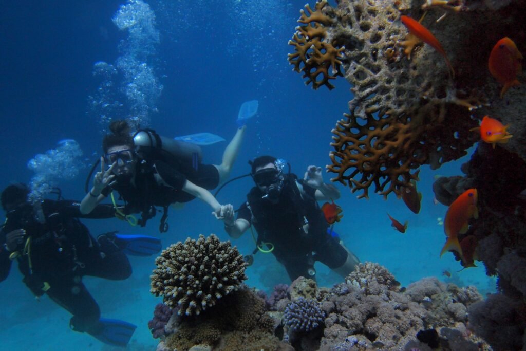 Red Sea Dive