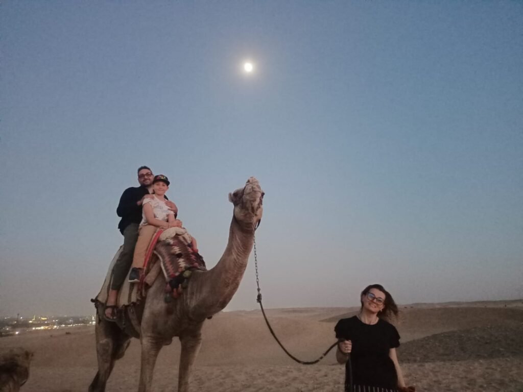 Sunset Camel
