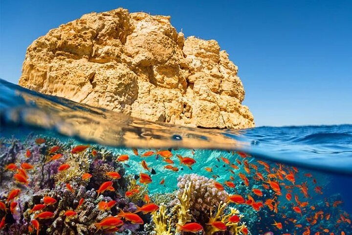 صورة مصغرة 3