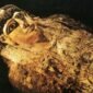 Bawiti Museum