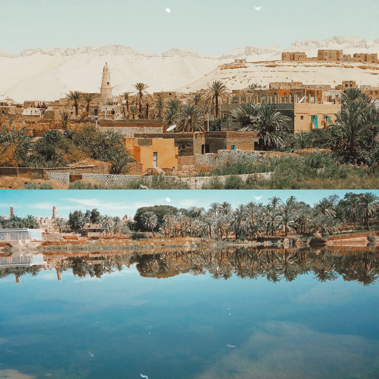 Dakhla Oasis