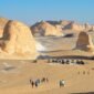Farfara Oasis