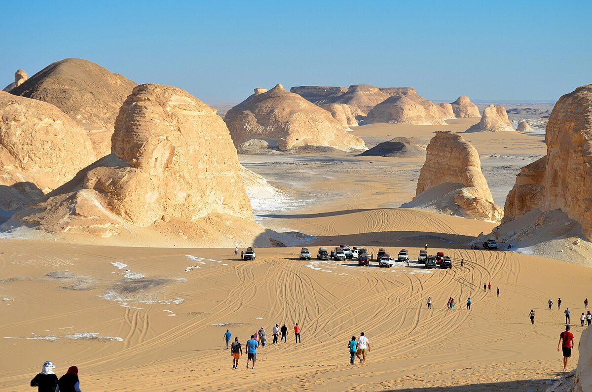 Farfara Oasis