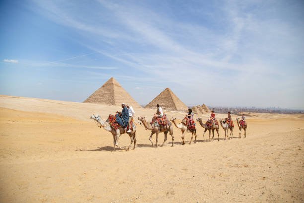 صورة مصغرة 1