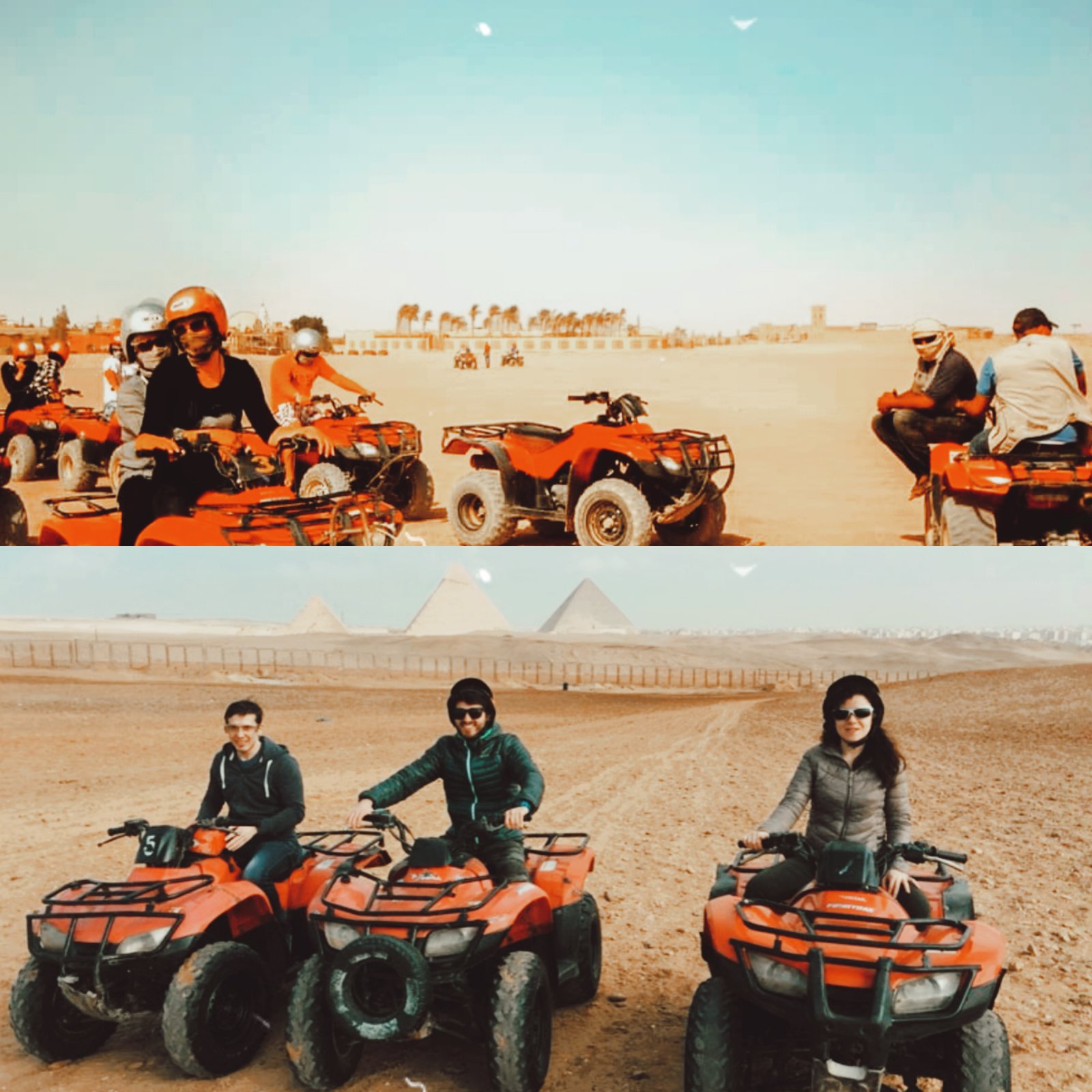 Safari in Egypt