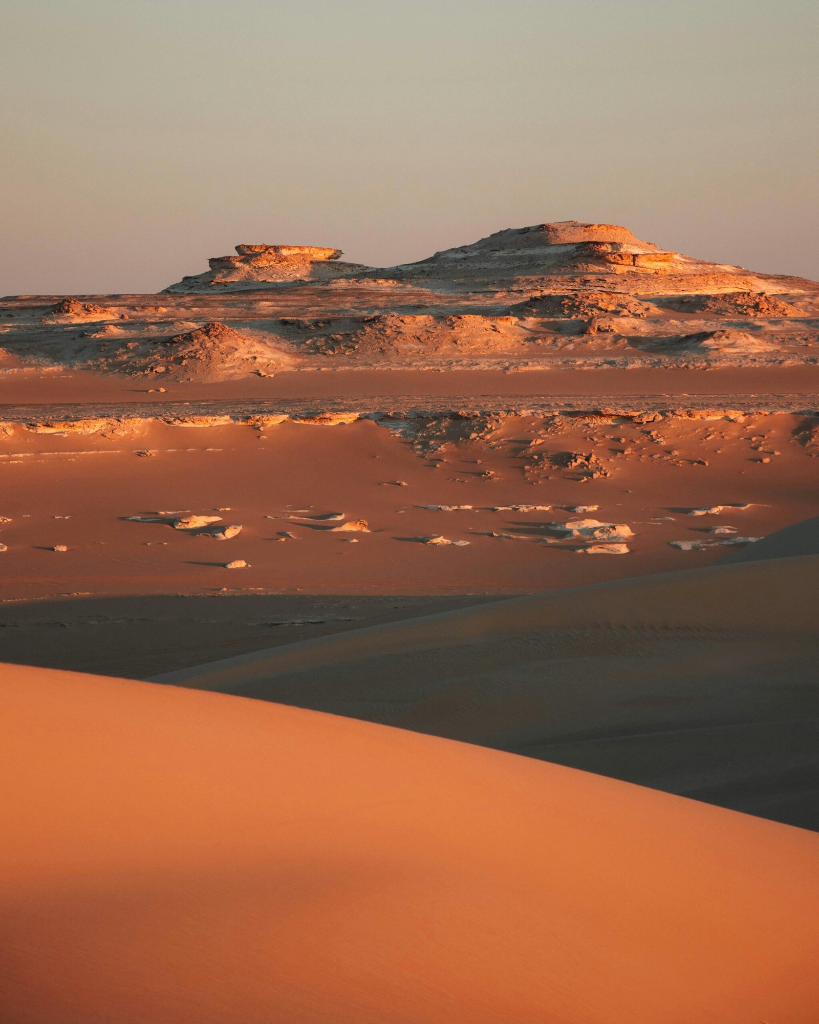 صورة مصغرة 4