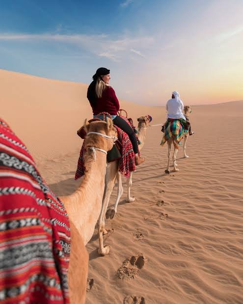 camel ride main safari