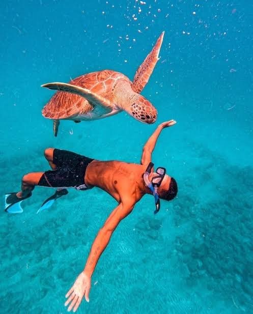 hamata marsa alam