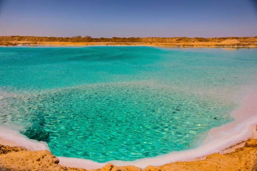 صورة مصغرة 1