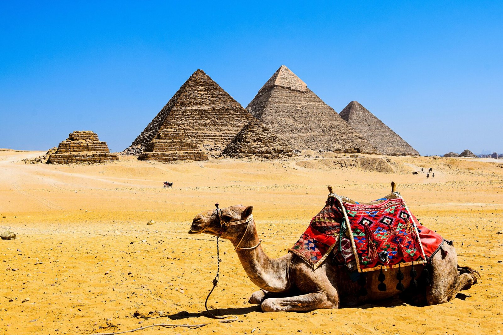صورة مصغرة 2