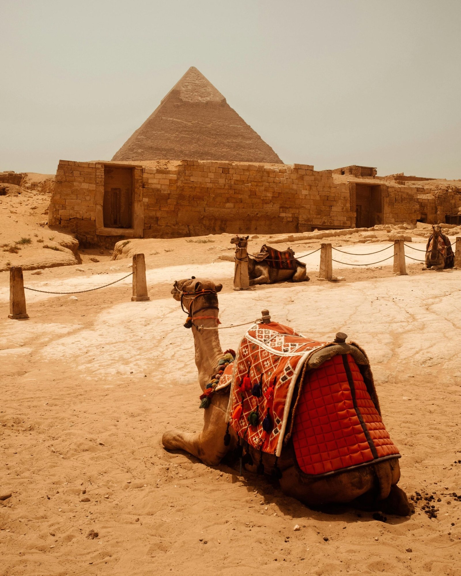 صورة مصغرة 1