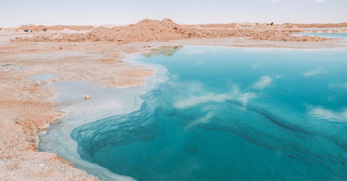 صورة مصغرة 3