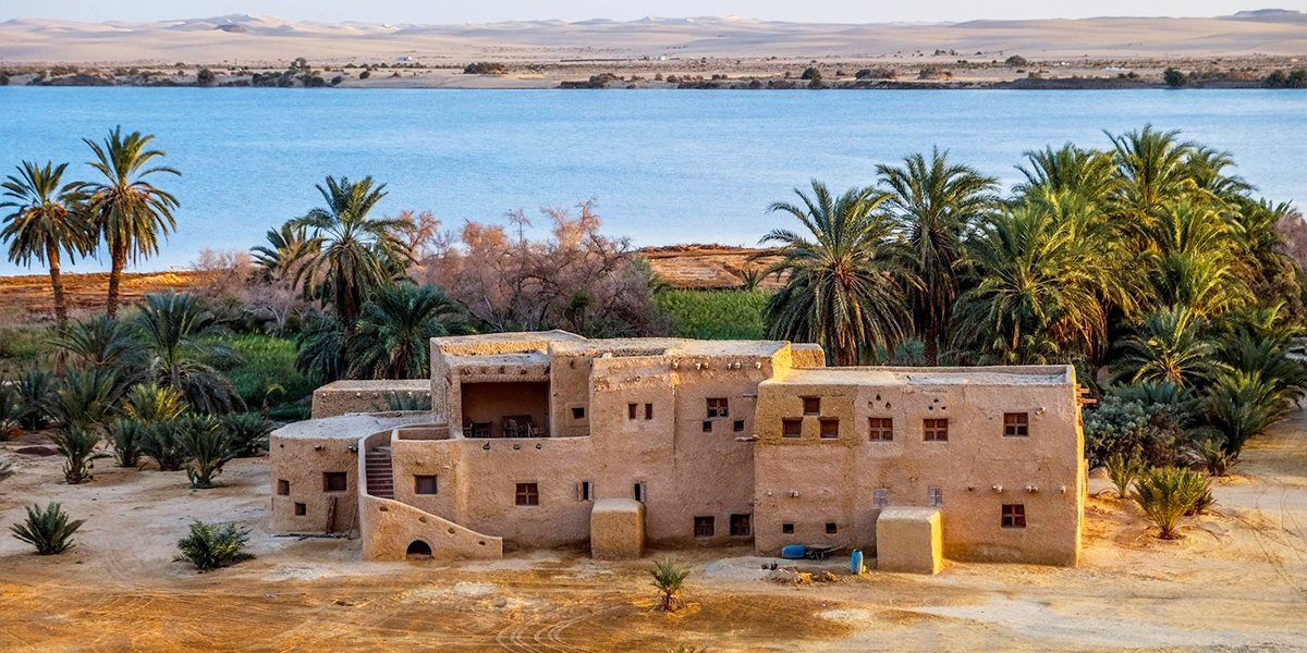 صورة مصغرة 4