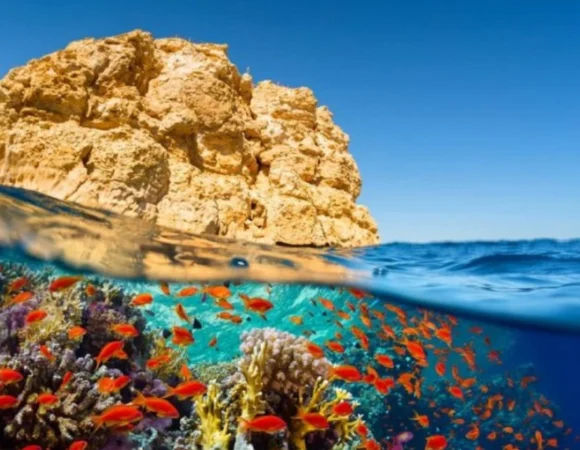 8 Amazing Reasons to Embark on a Safari Tour in Hurghada