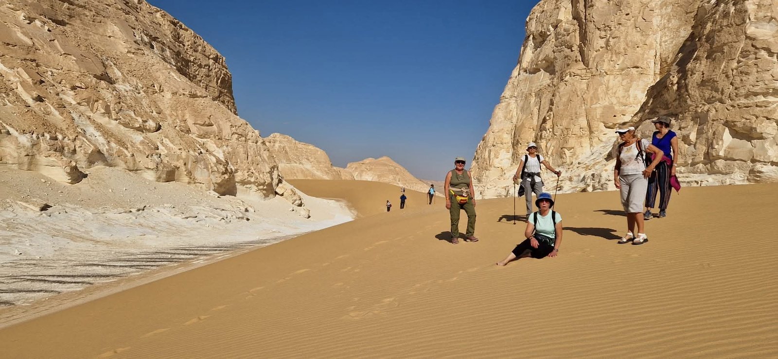 صورة مصغرة 3