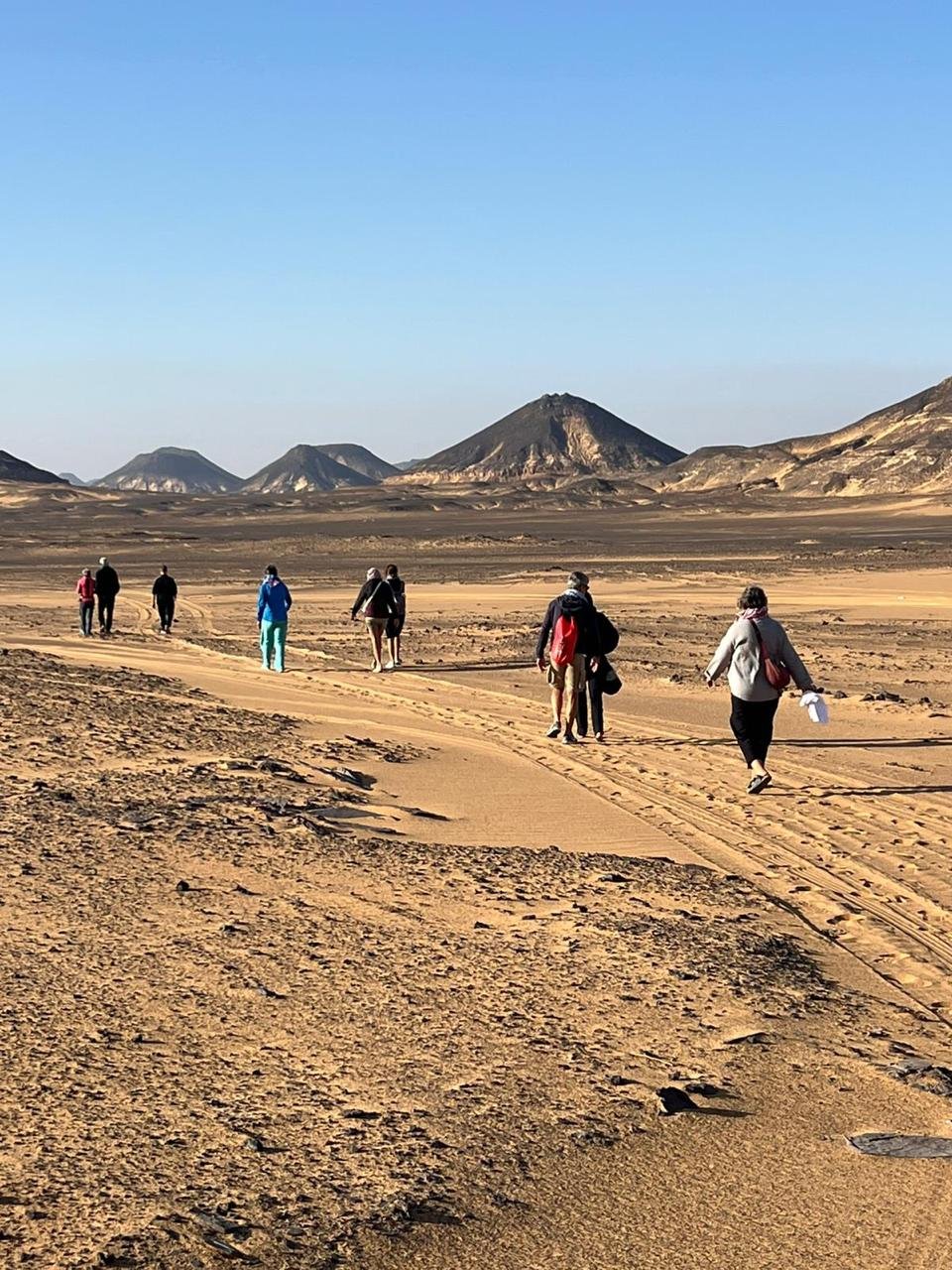 صورة مصغرة 2