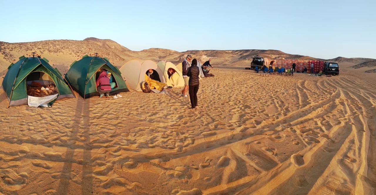 صورة مصغرة 3