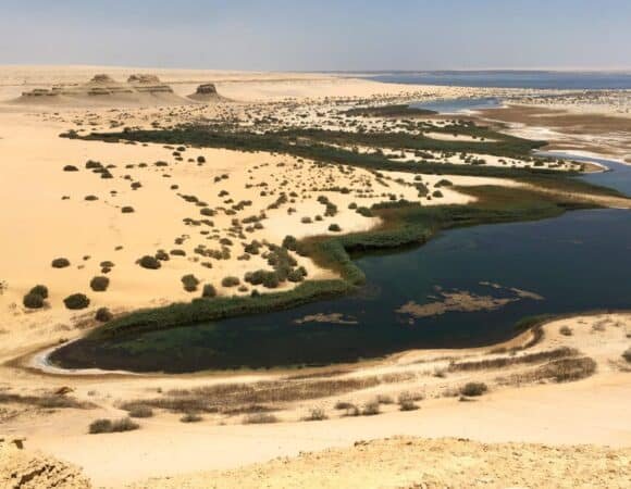 More than 7 Unforgettable Activities to Experience in Fayoum Oasis, Egypt