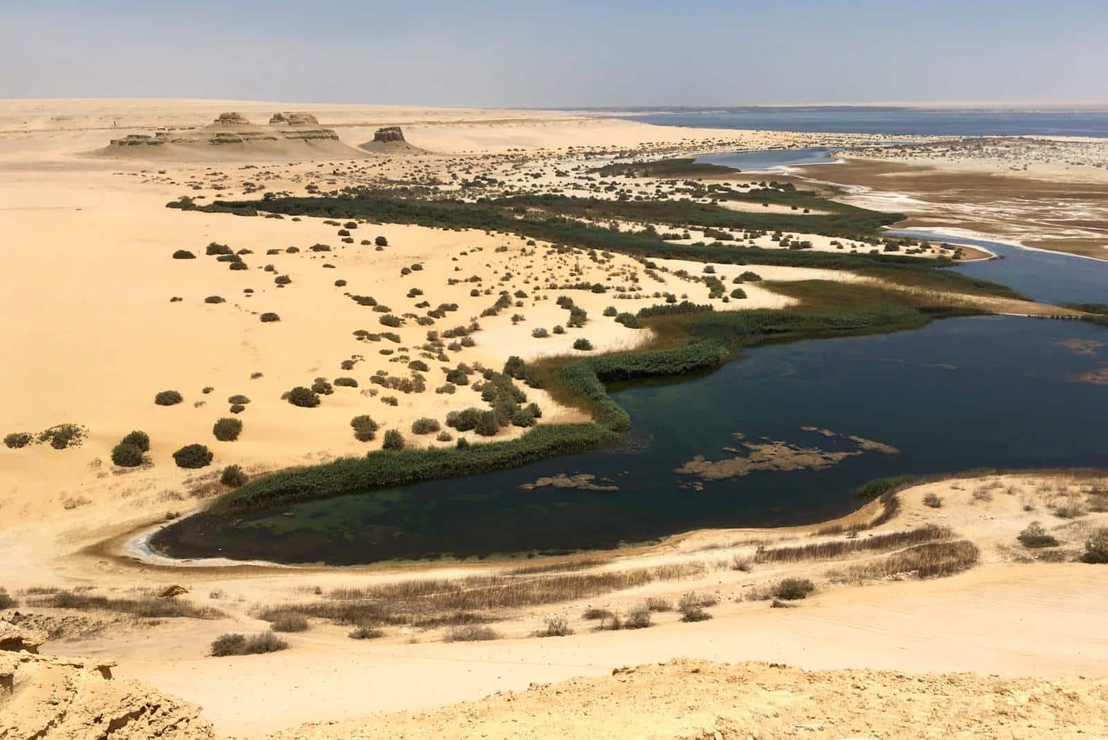 Fayoum Oasis