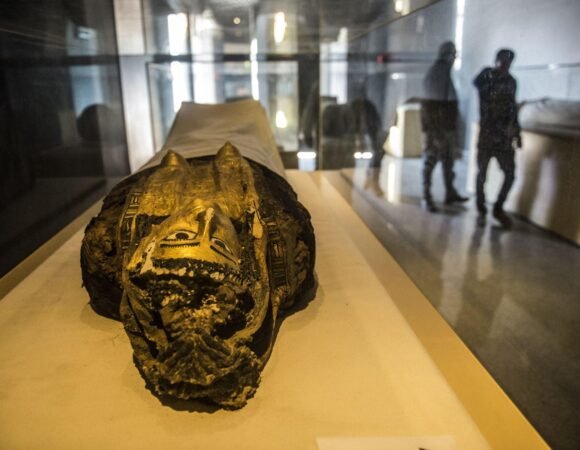 5 Reasons to Visit the Bawiti Museum: A Hidden Gem in the Bahariya Desert