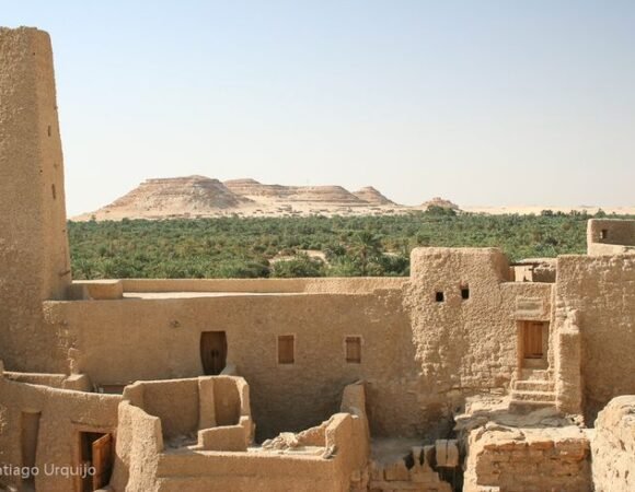 Exploring the Oracle of Amun: A Must-Visit Destination in Egypt