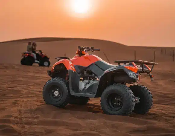 Top 10 Destinations for going on Safari in Egypt get the adventure and culture