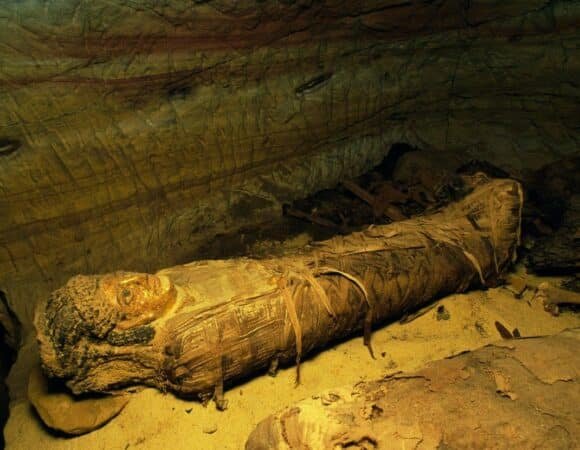 5 Amazing Discoveries in the Valley of the Golden Mummies