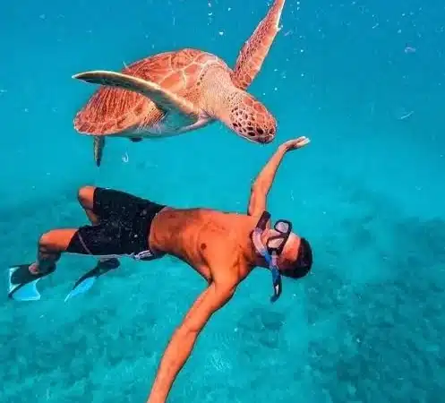 Full-Day Tour - Hamata Islands Snorkeling Cruise